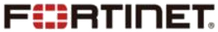 飞塔 Fortinet