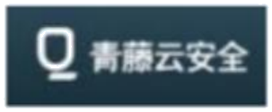 青藤云安全